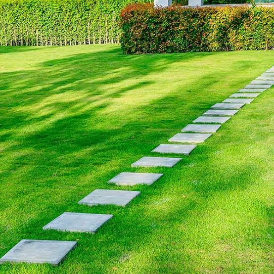 prato curato servizio di giardinaggio costa rei villasimius sardinia multiservizi